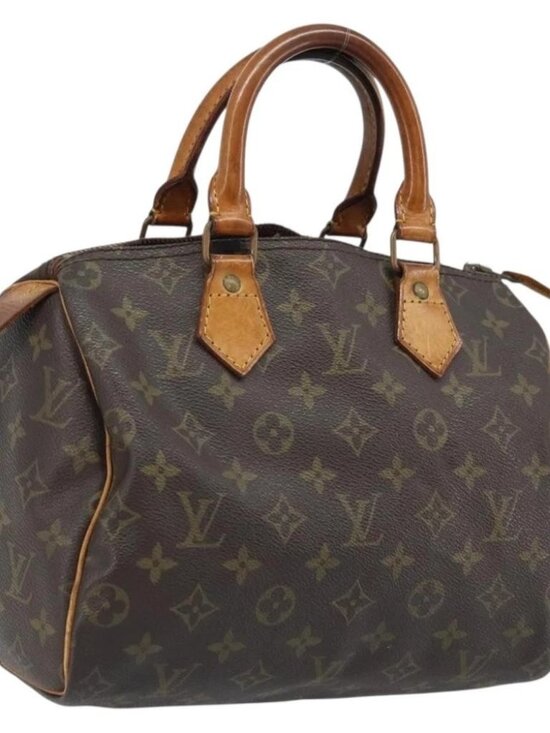 Louis Vuitton Handbags - LOUIS VUITTON Monogram Speedy 25 Hand Bag